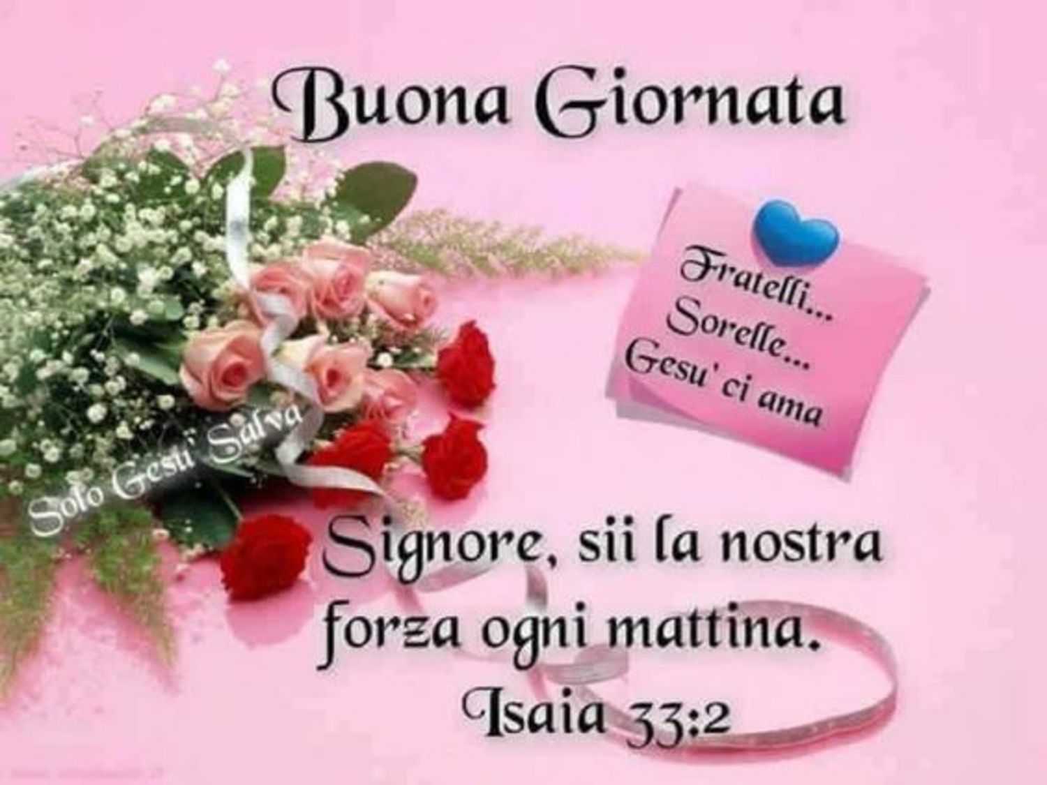 Buona Giornata Con Frasi Del Vangelo Buongiornocongesu It