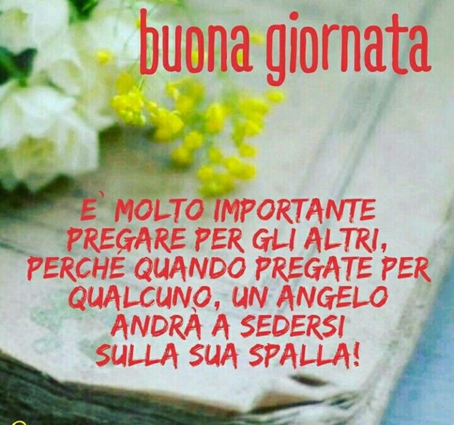 Buona Giornata Nella Fede Di Dio 5525 Buongiornocongesu It