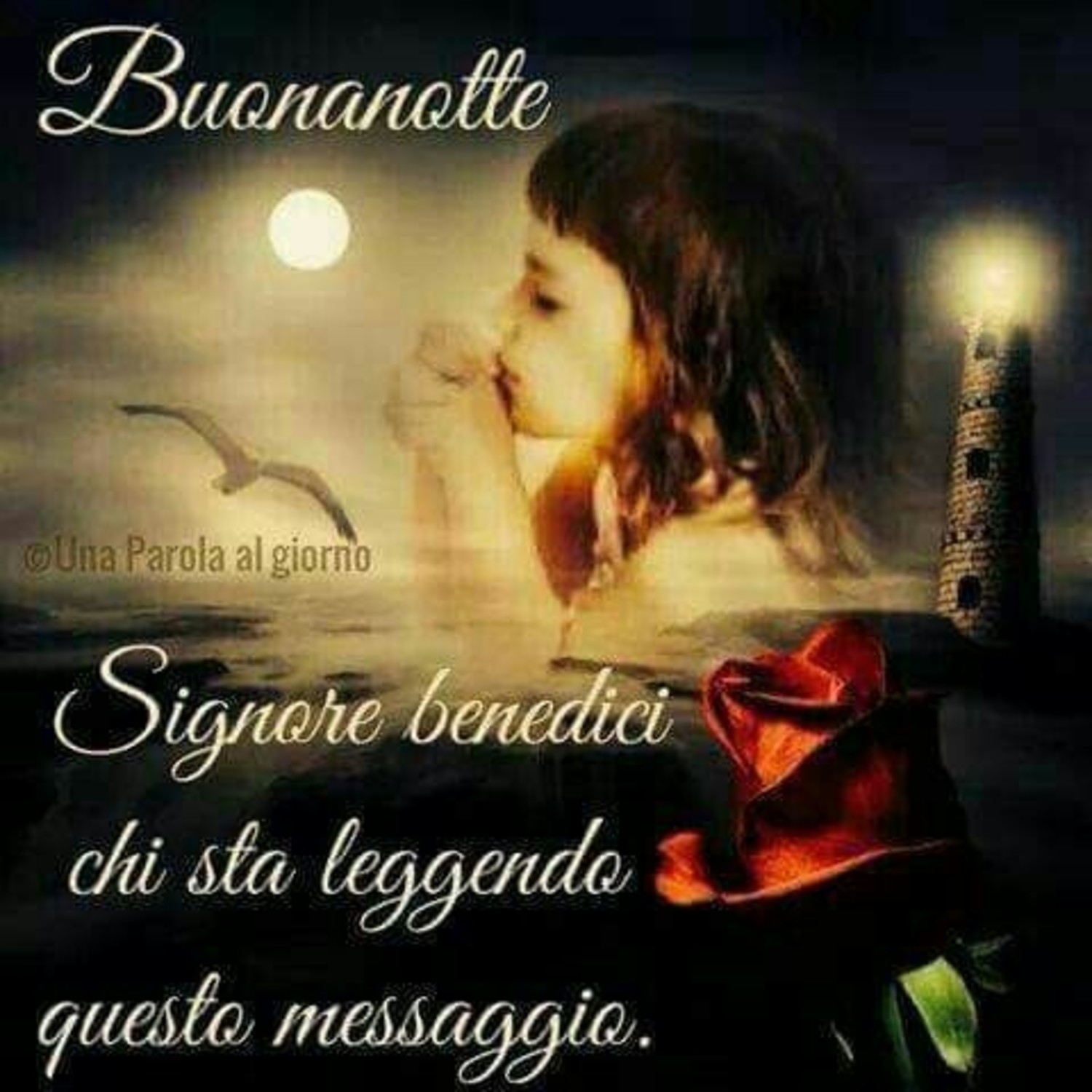 Buonanotte Signore 3