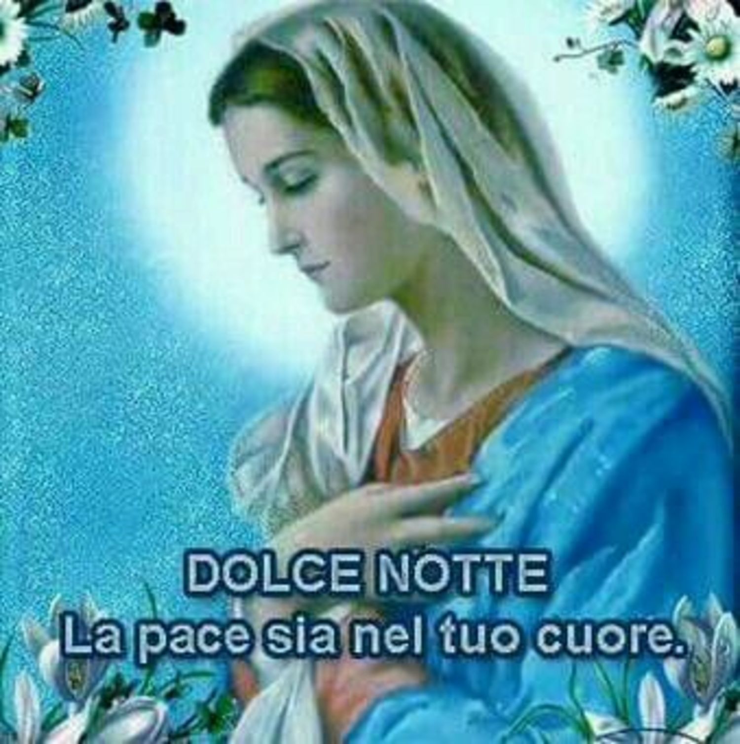 Buonanotte Vergine Maria 4