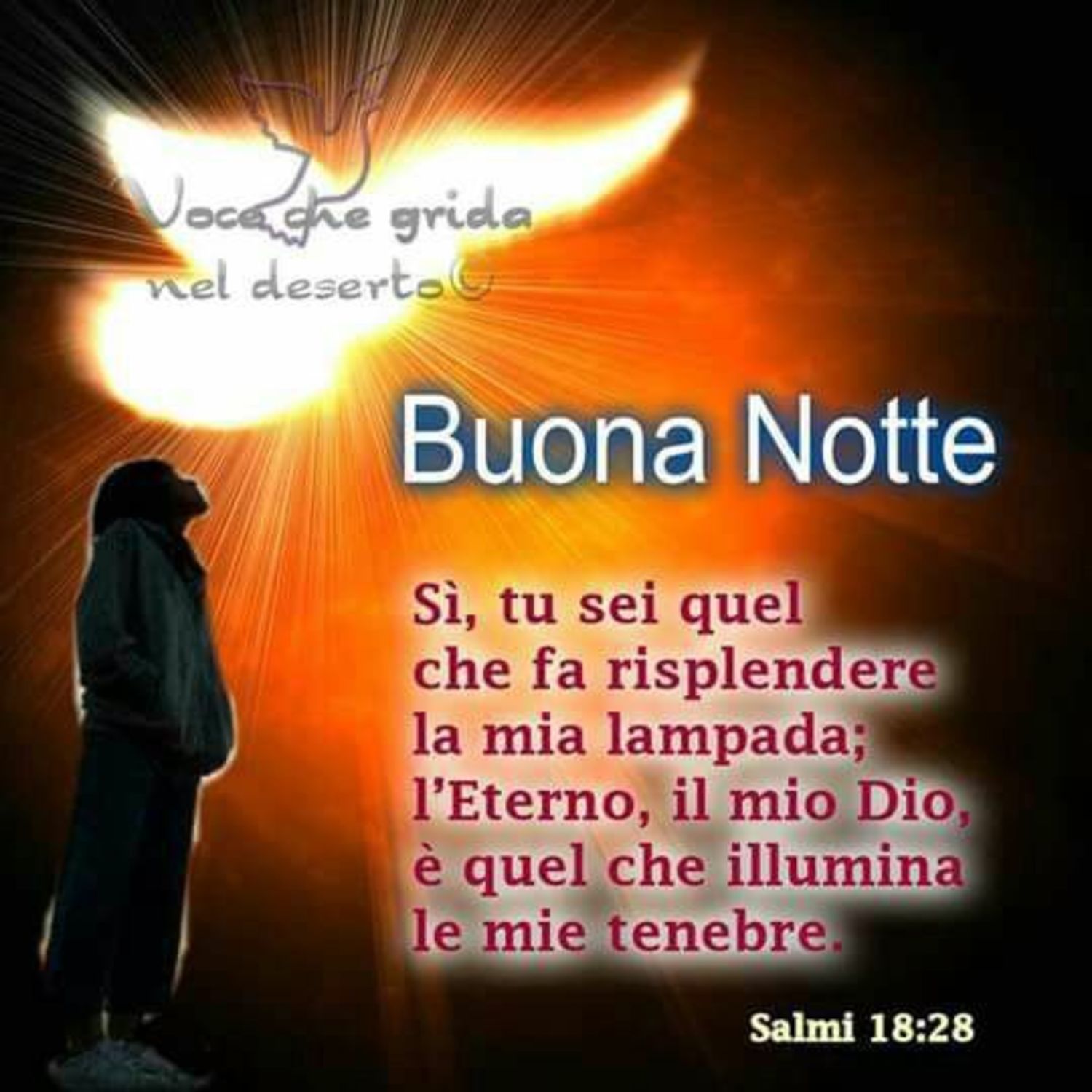 Buonanotte immagini sacre 10250