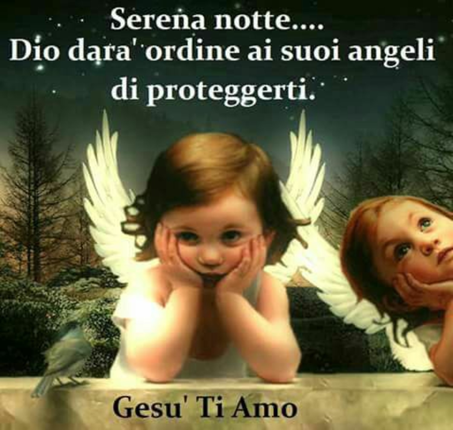 Buonanotte sacra