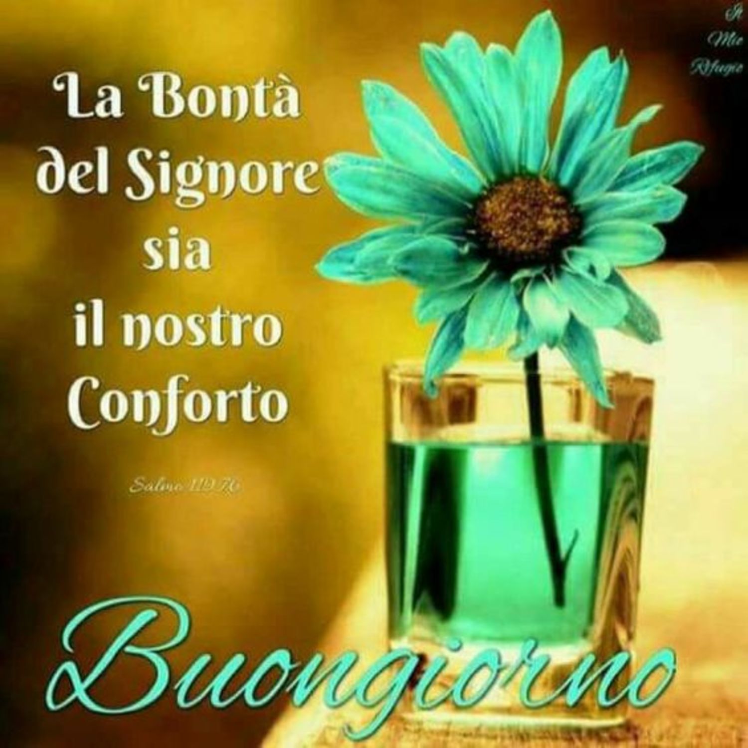 Buongiorno Gesu X Facebook 9517 Buongiornocongesu It