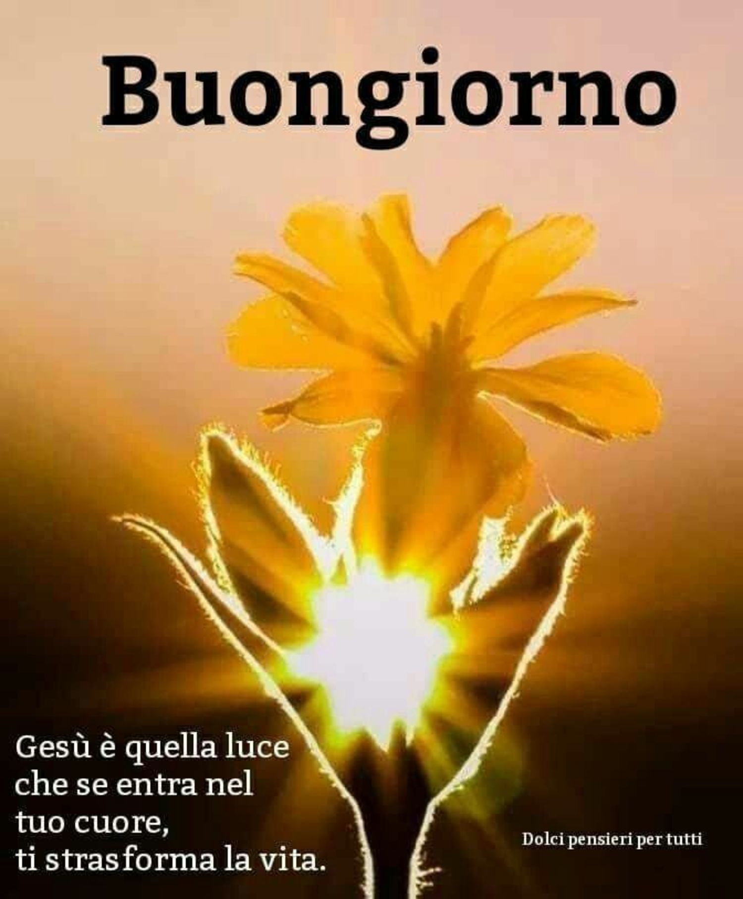 Buongiorno Con La Parola Di Dio Immagini E Frasi Buongiornocongesu It