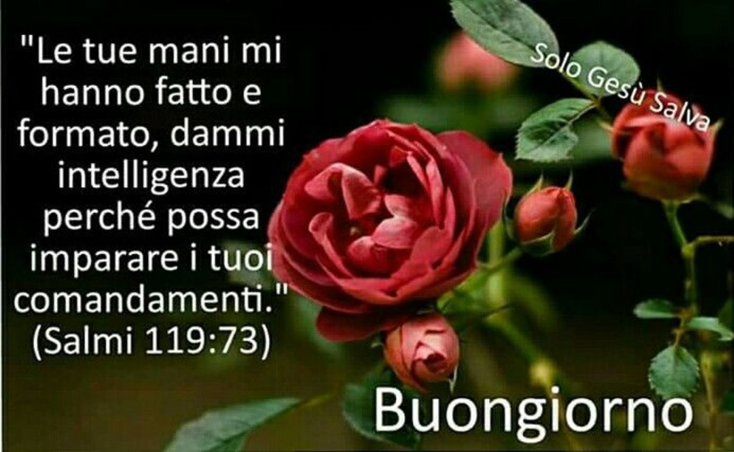 Buongiorno Con La Parola Di Dio Immagini E Frasi 5180 Buongiornocongesu It