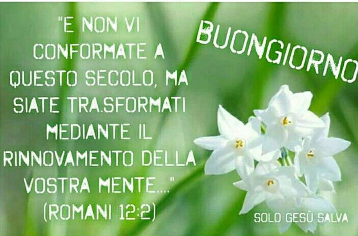 Buongiorno religioso Google 3753