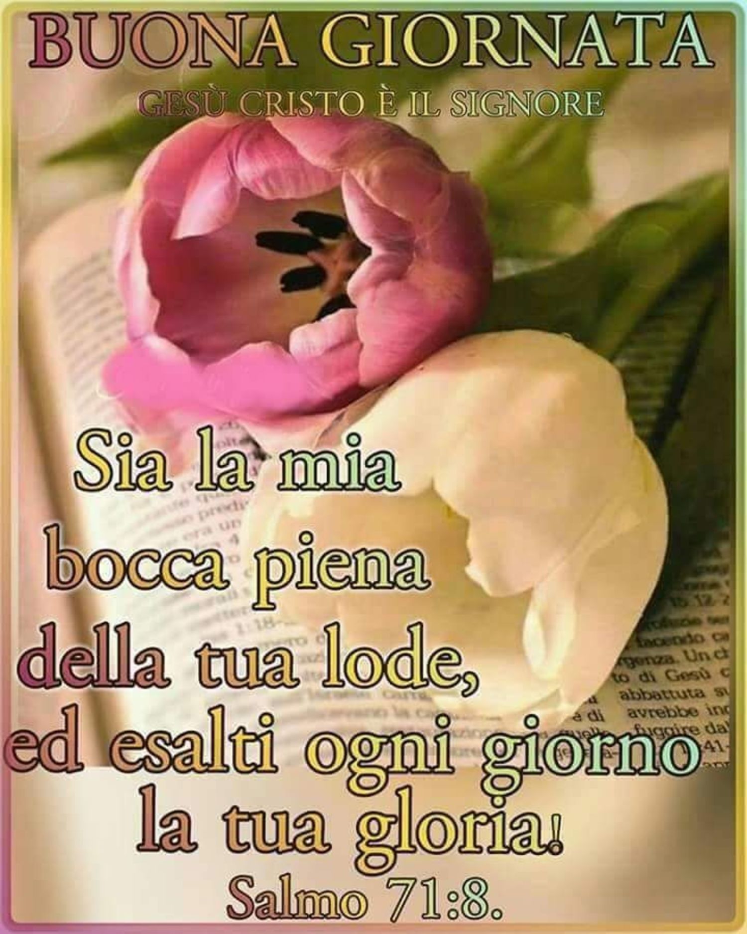 Buongiorno Religioso Da Mandare Buongiornocongesu It