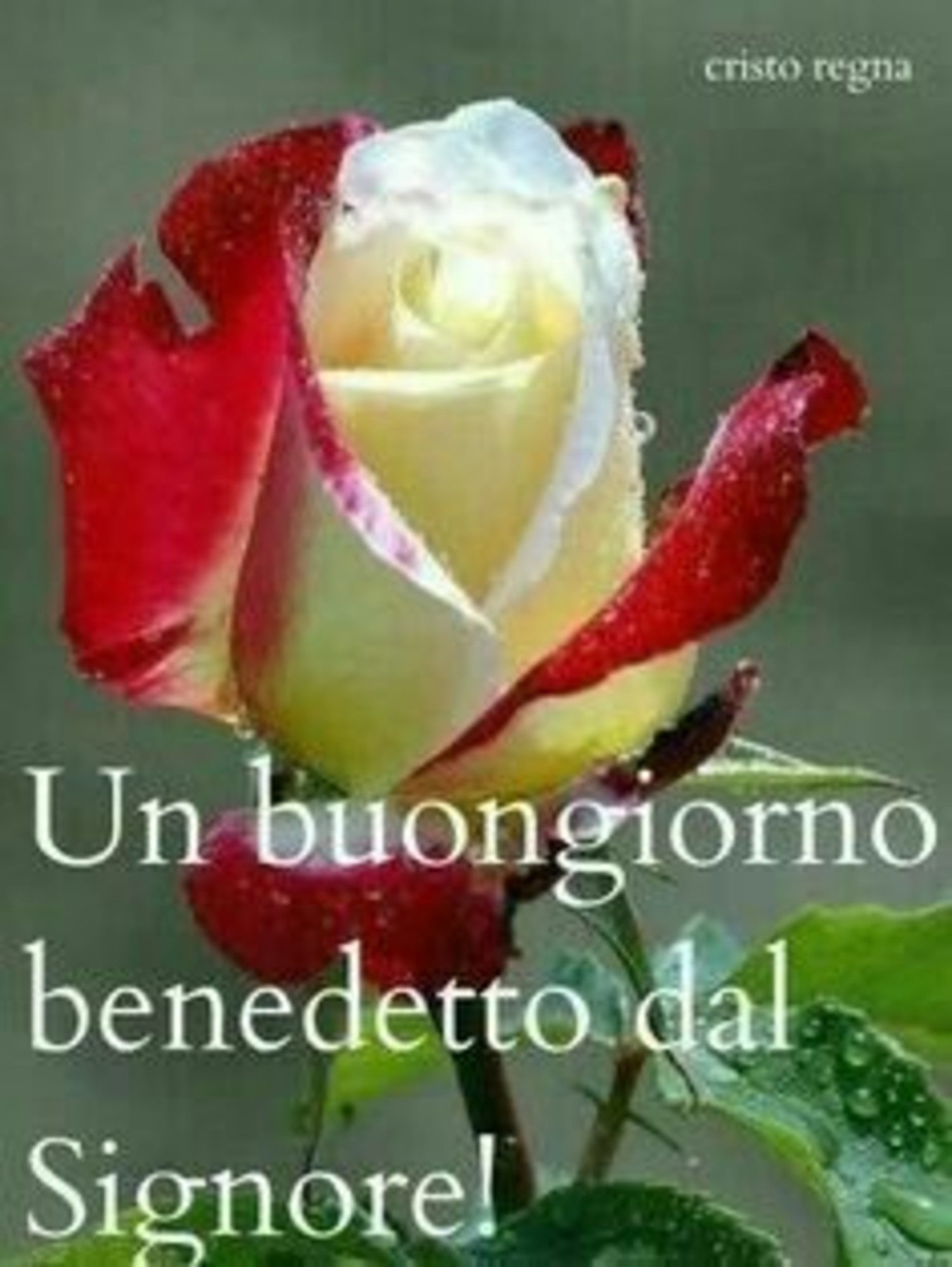 Buongiorno religioso x WhatsApp 848