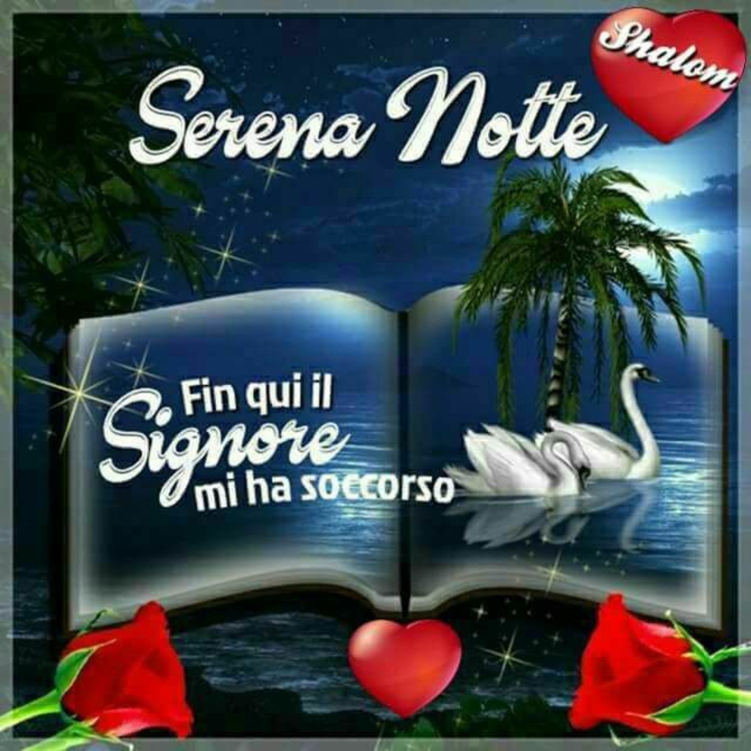 Dolce notte