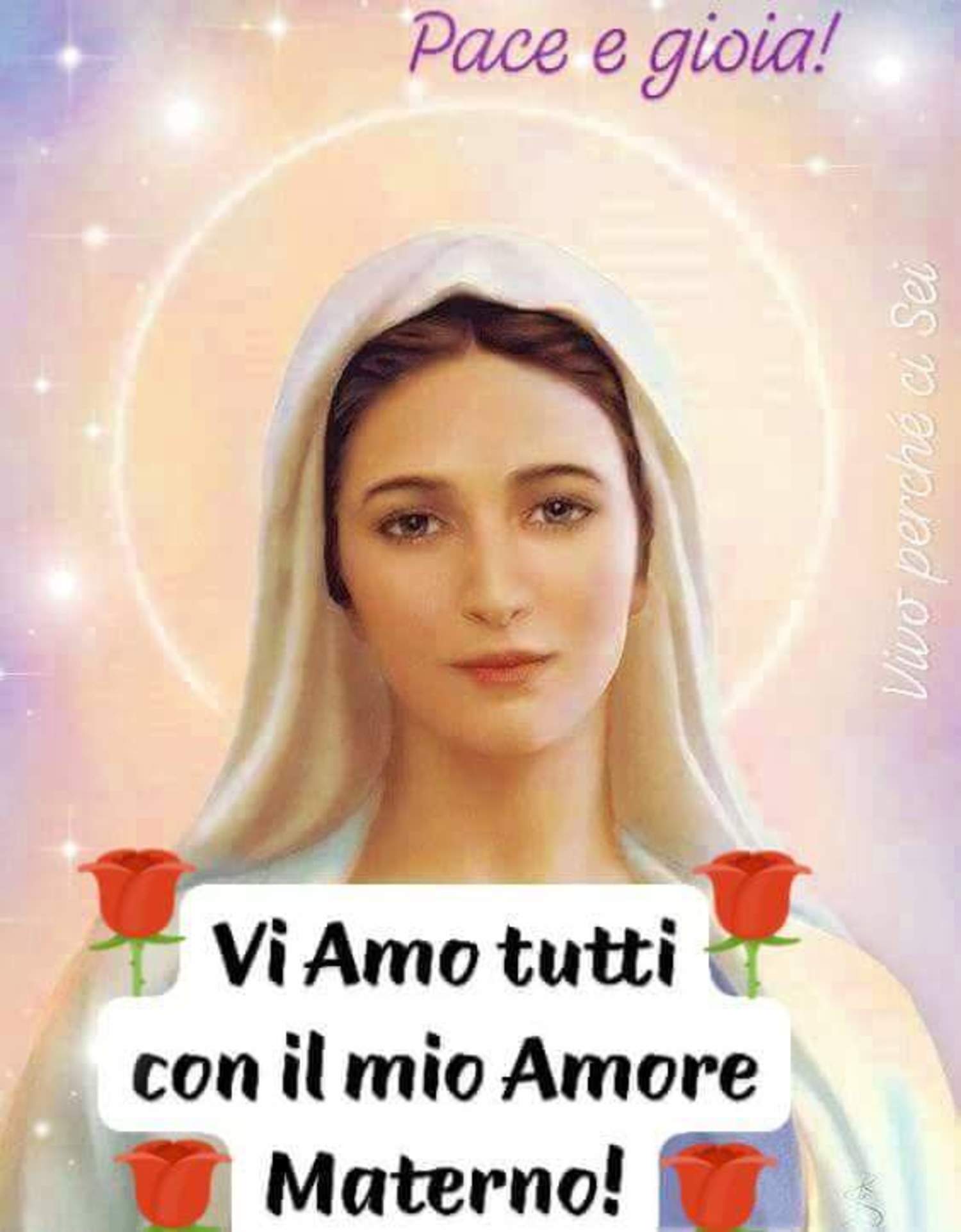 Frasi cristiane con la Vergine Maria 7576