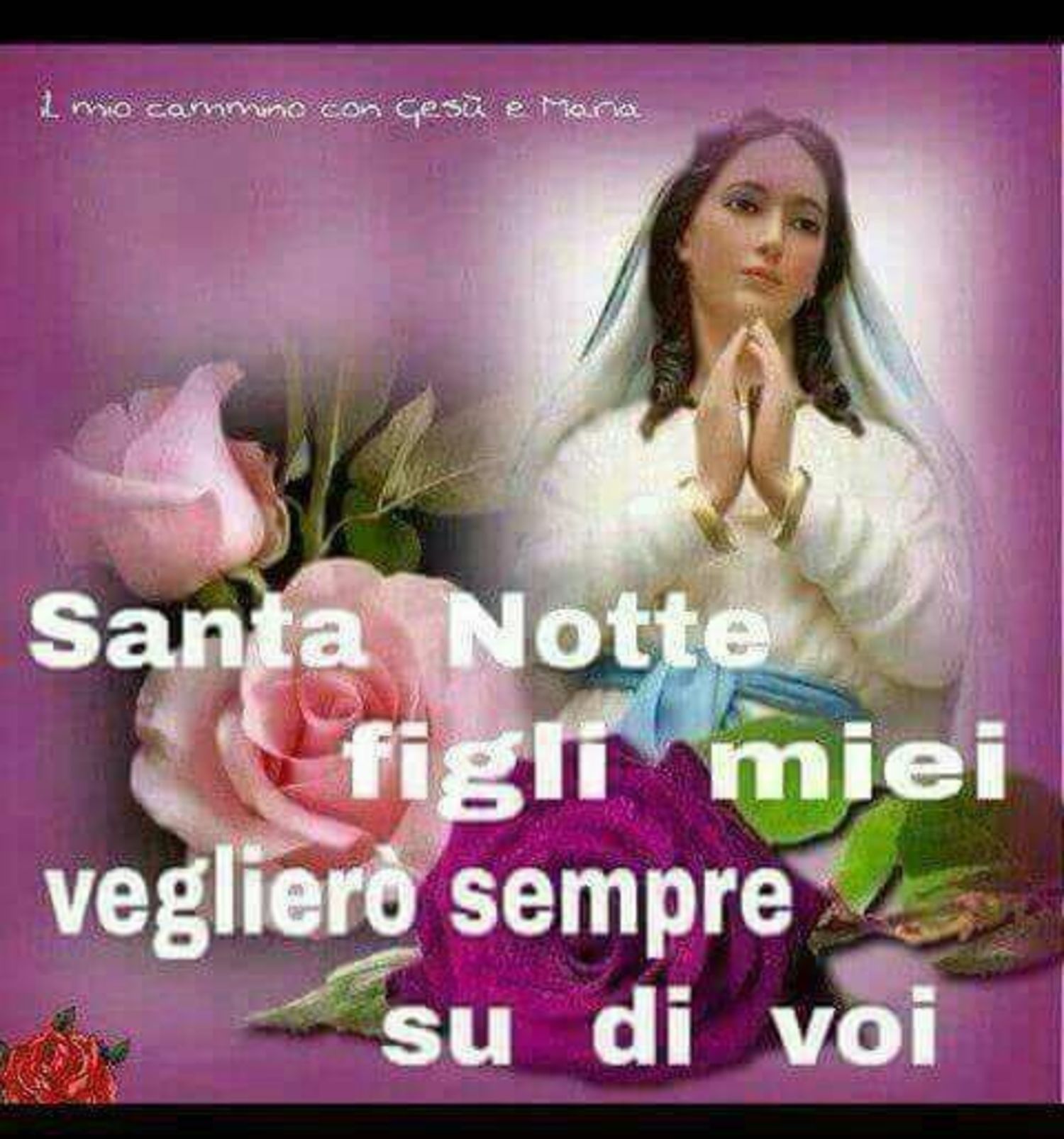 Immagini Buona Notte con la Madonna 2883