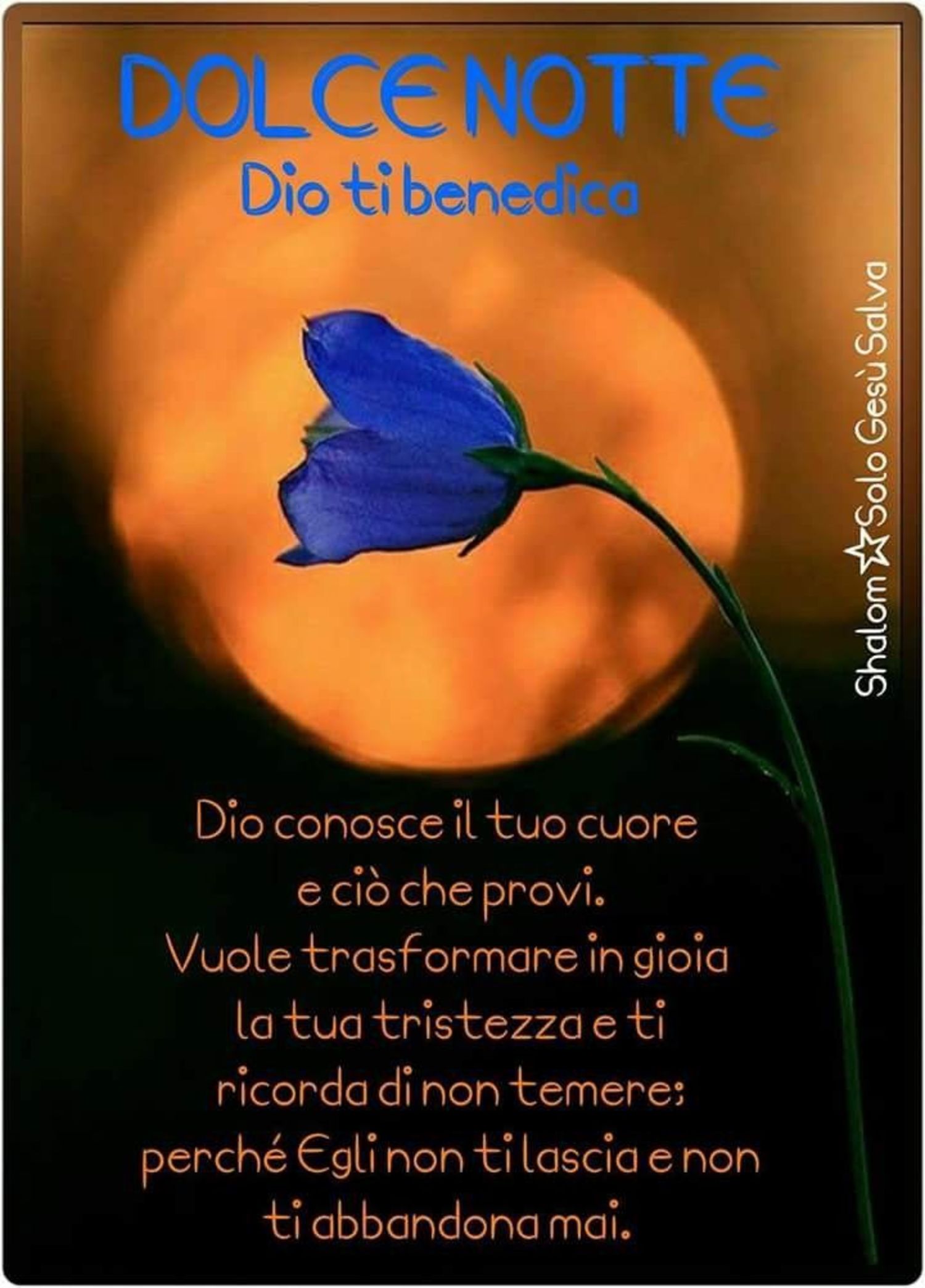 Immagini Buonanotte per Gruppi di Preghiera Facebook 4716