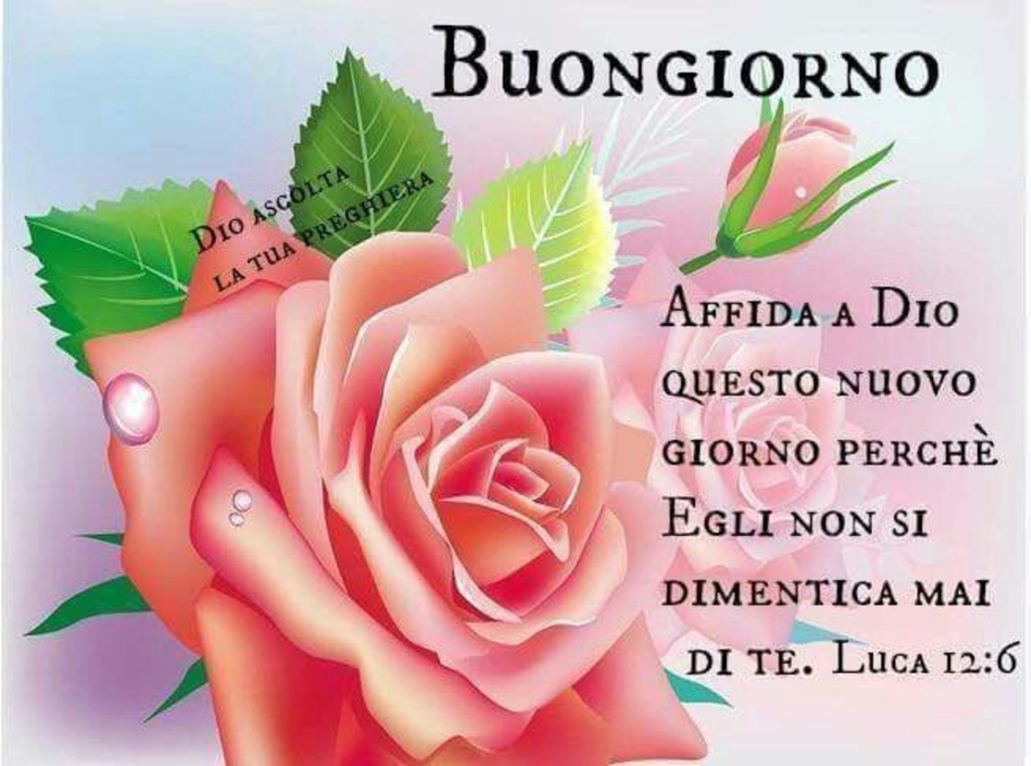 Immagini Per Buongiorno Sacre Buongiornocongesu It