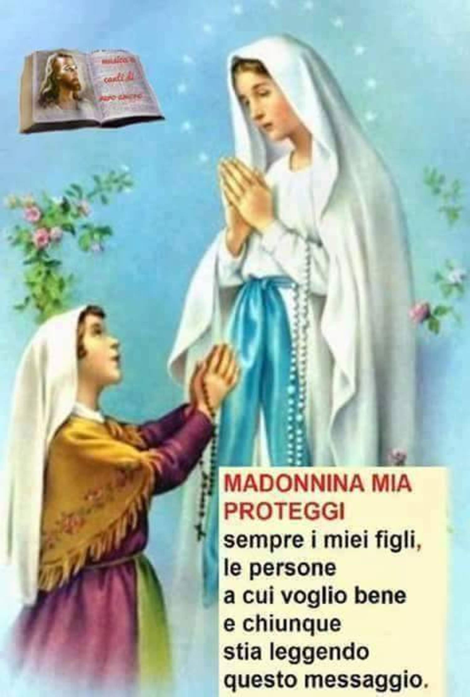 Madonnina mia proteggi