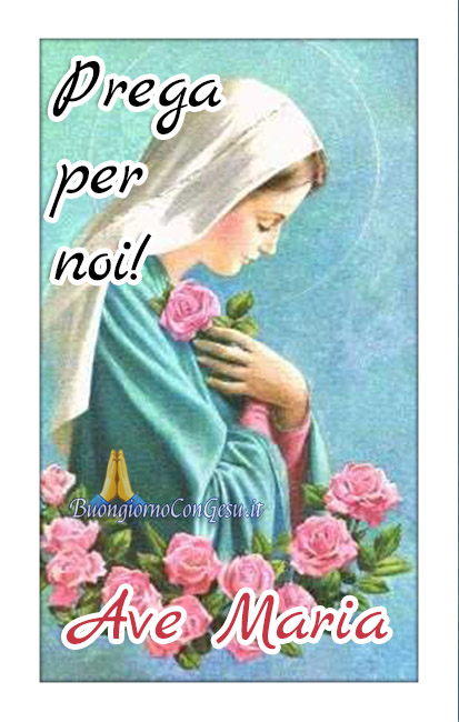 Prega per noi Ave Maria immagini WhatsApp