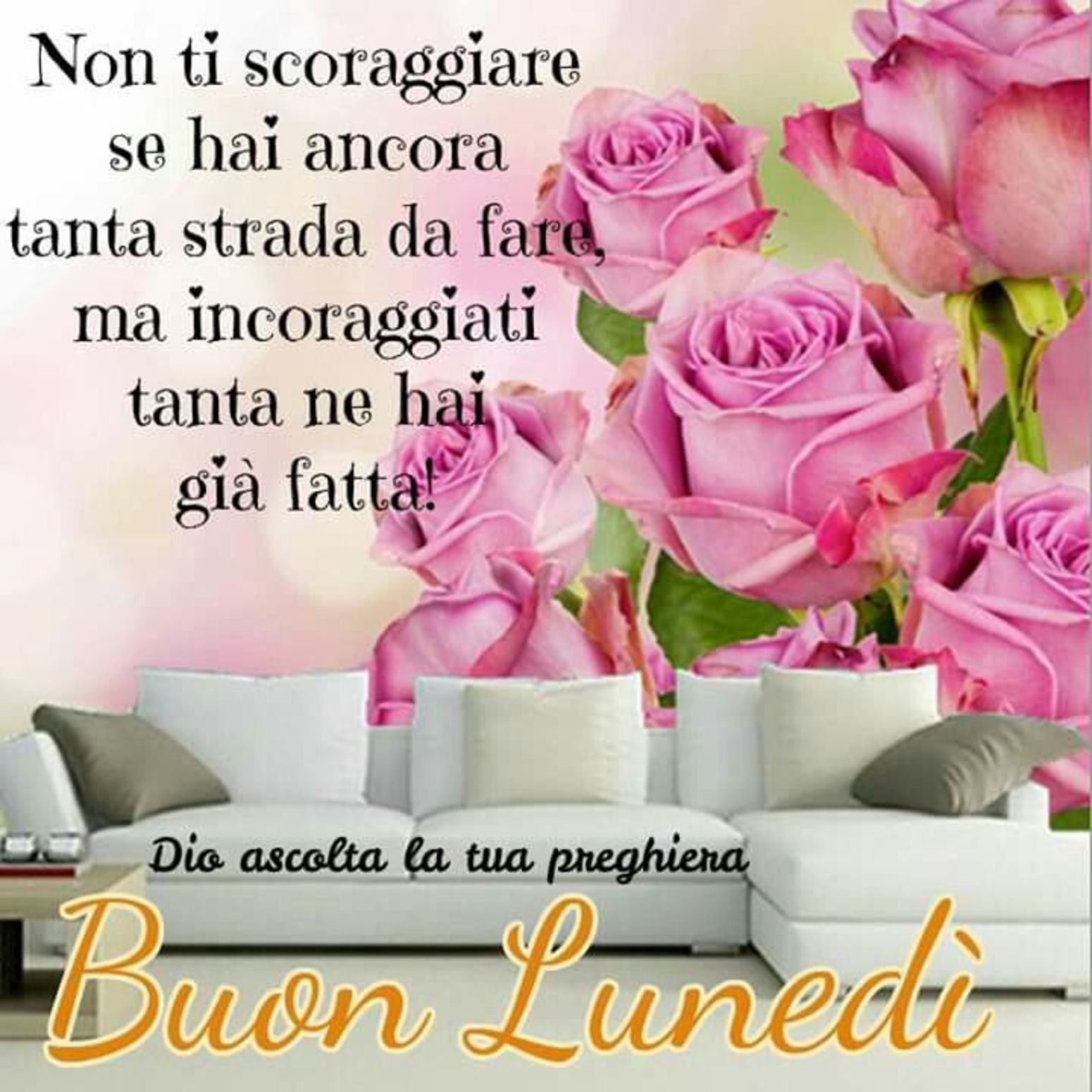 Buon Lunedì nel Signore