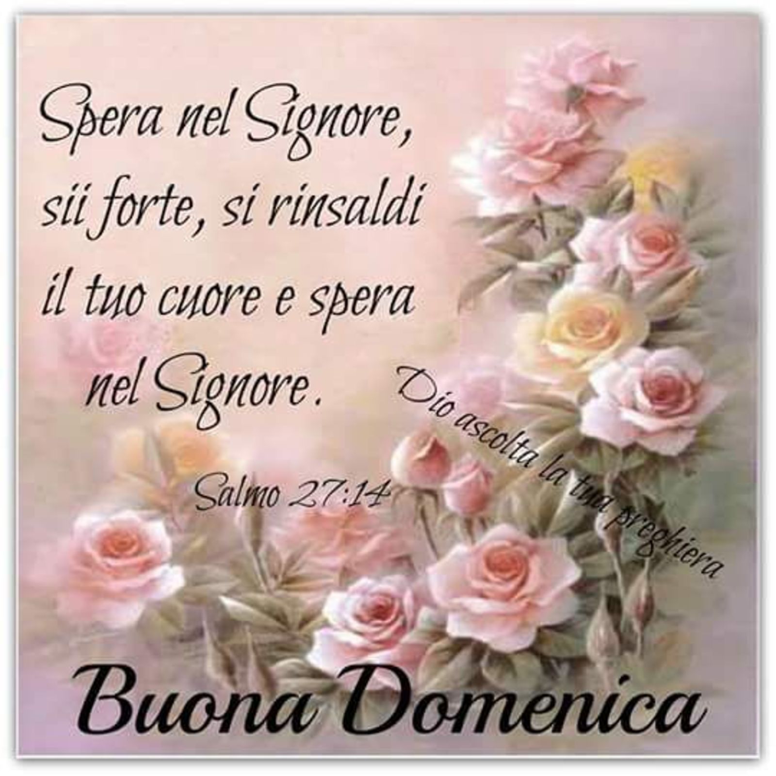 Buona Domenica