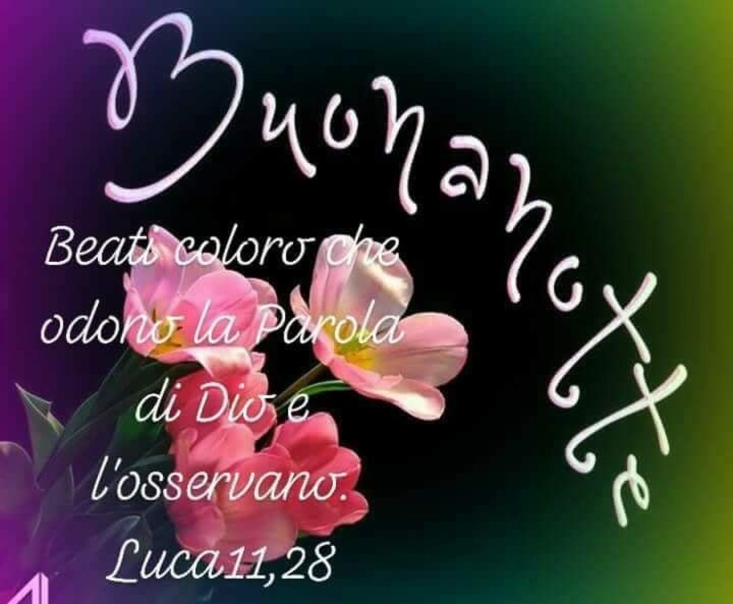Buonanotte Dio vi benedica 7828