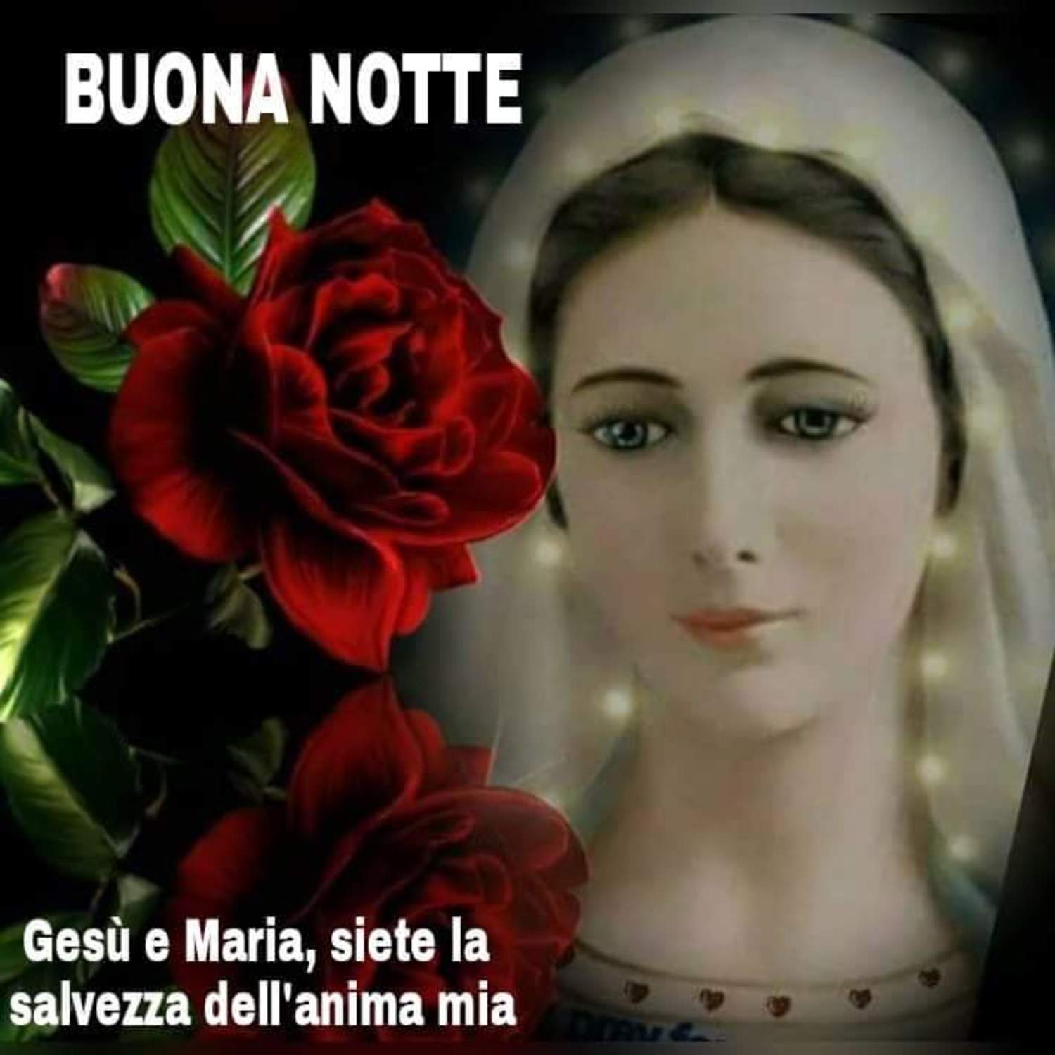 Buonanotte Madonnina Buongiornocongesu It