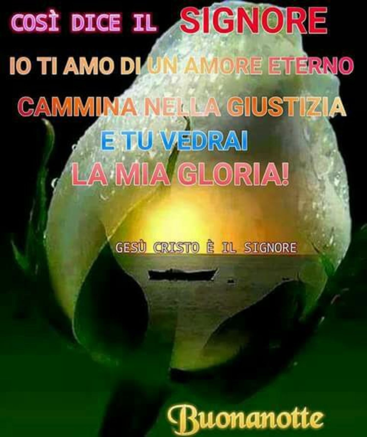 Buonanotte amici di Gesù 9168