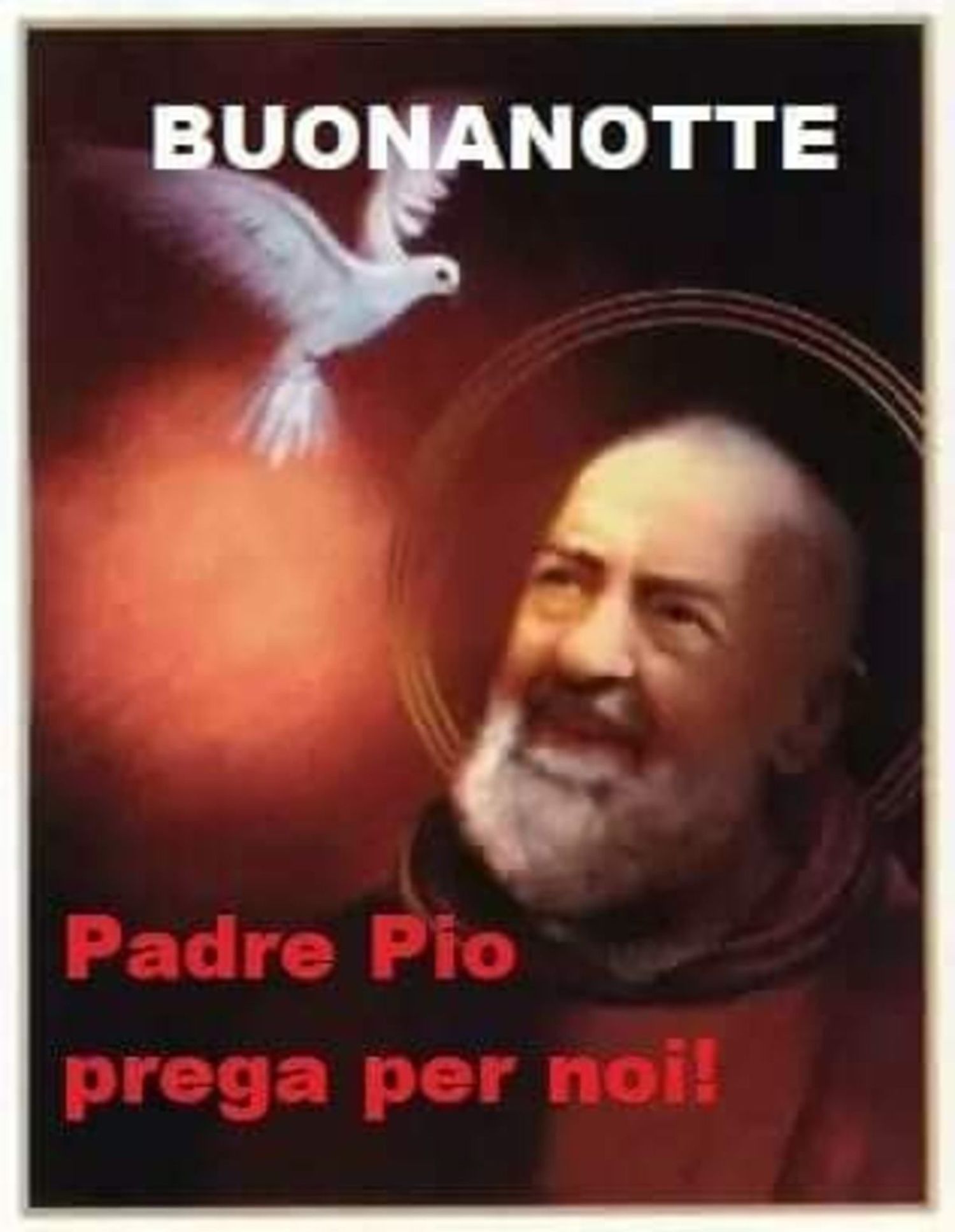 Buonanotte da Padre Pio immagini 5565