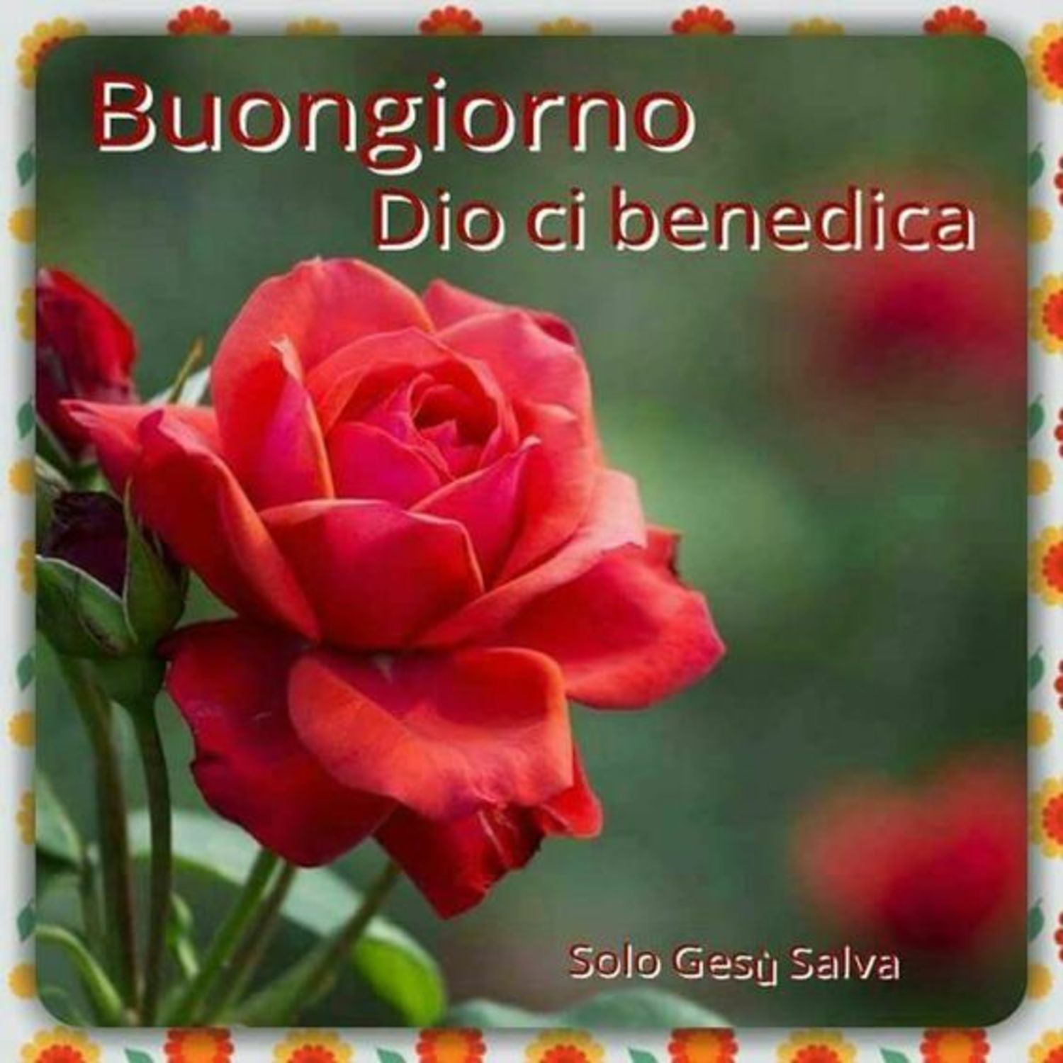 Buongiorno Dio ci benedica 6564