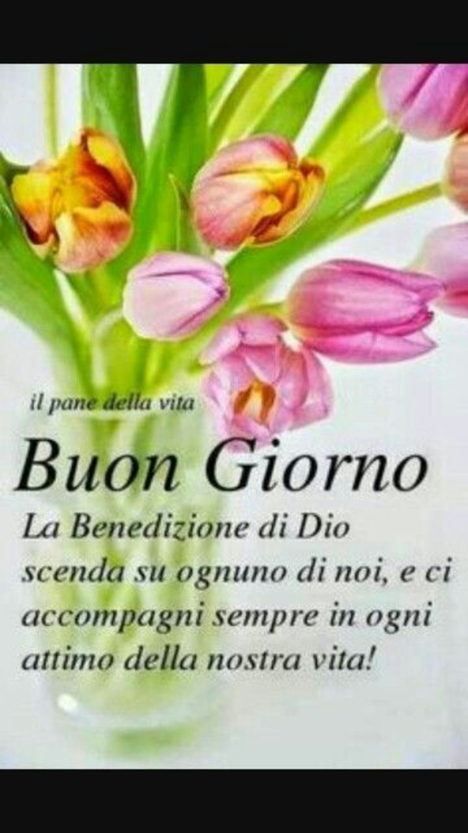 Buongiorno Con Dio 2845 Buongiornocongesu It