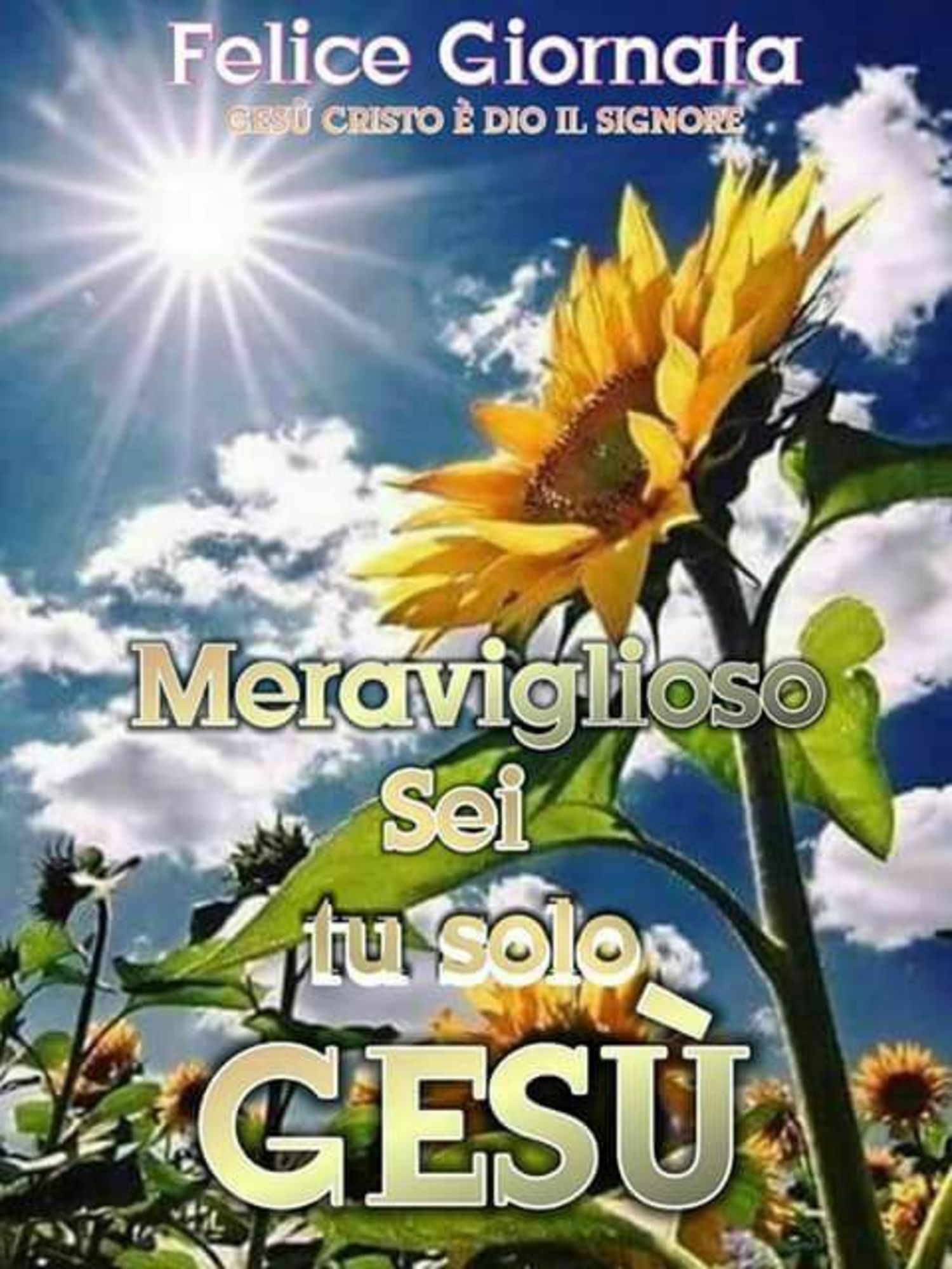 Buongiorno meraviglioso sei tu solo Gesù 2516