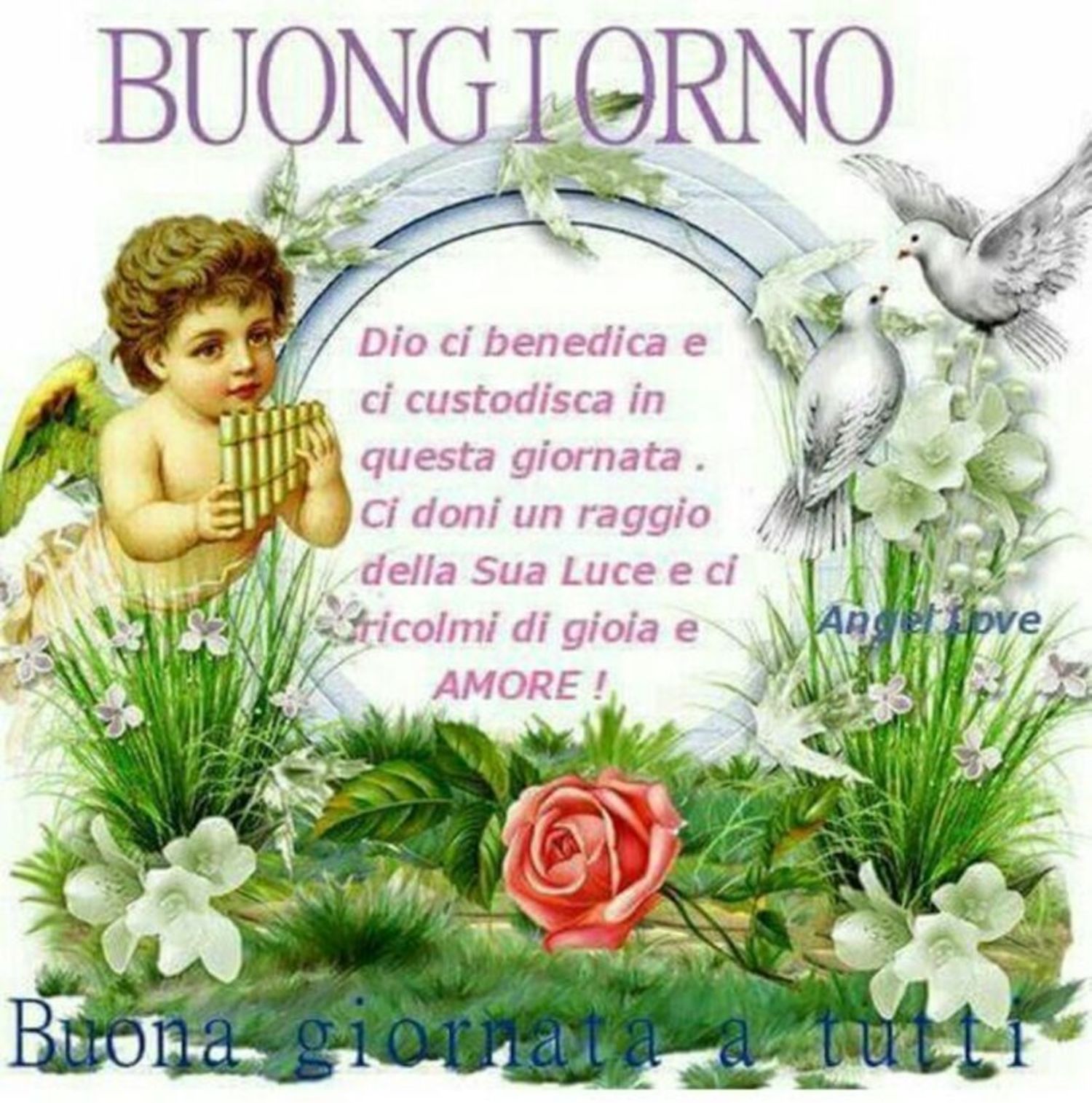 Buongiorno Speciale Con Gli Angeli 8025 Buongiornocongesu It